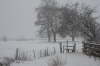 Snowy Stile Jan 6th 2010