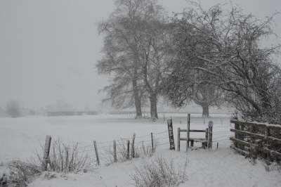 Snowy Stile Jan 6th 2010