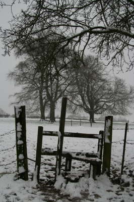 Snowy February 2009