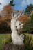EOS 450D1462